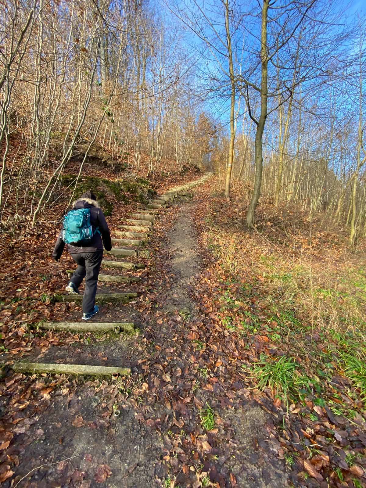 Trocha stoupání po lesních schodištích nám zpestřila trasu.
