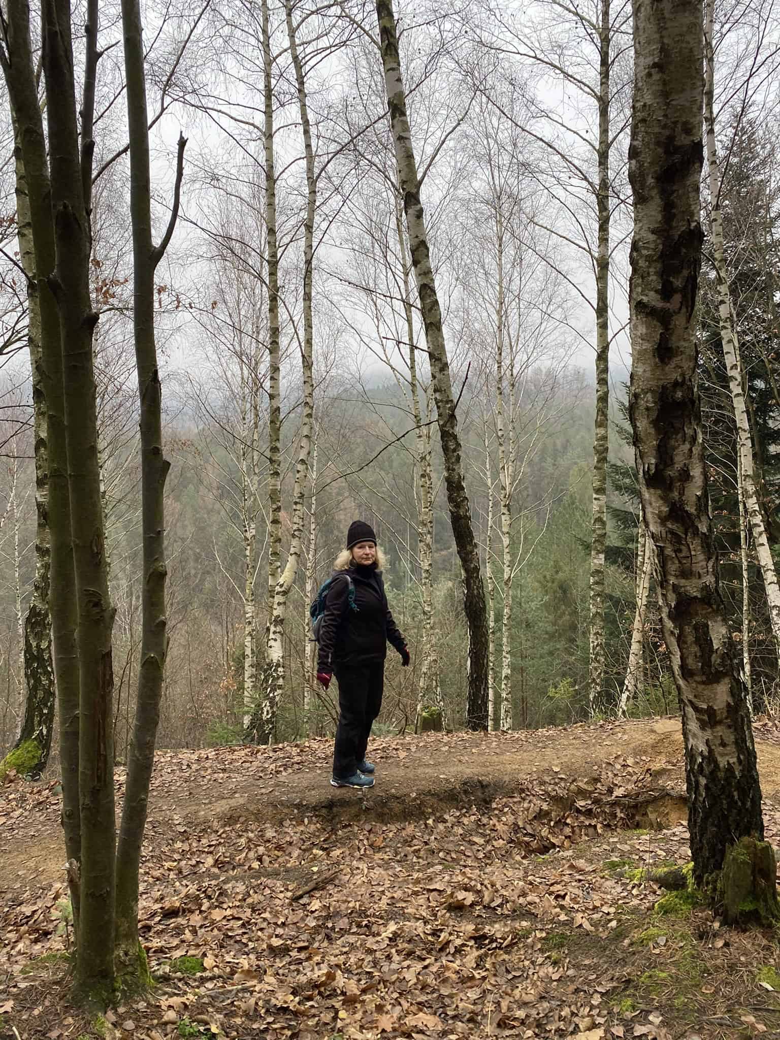 Sychravé prosincové lesy mají své nezaměnitelné a tiché kouzlo.