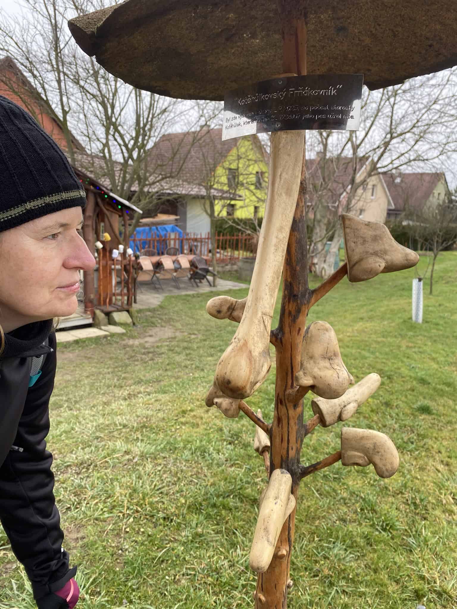 Kočičí Frňákovník – strom plodící docela solidní frňáky. Klobouk dolů před místními řezbáři.