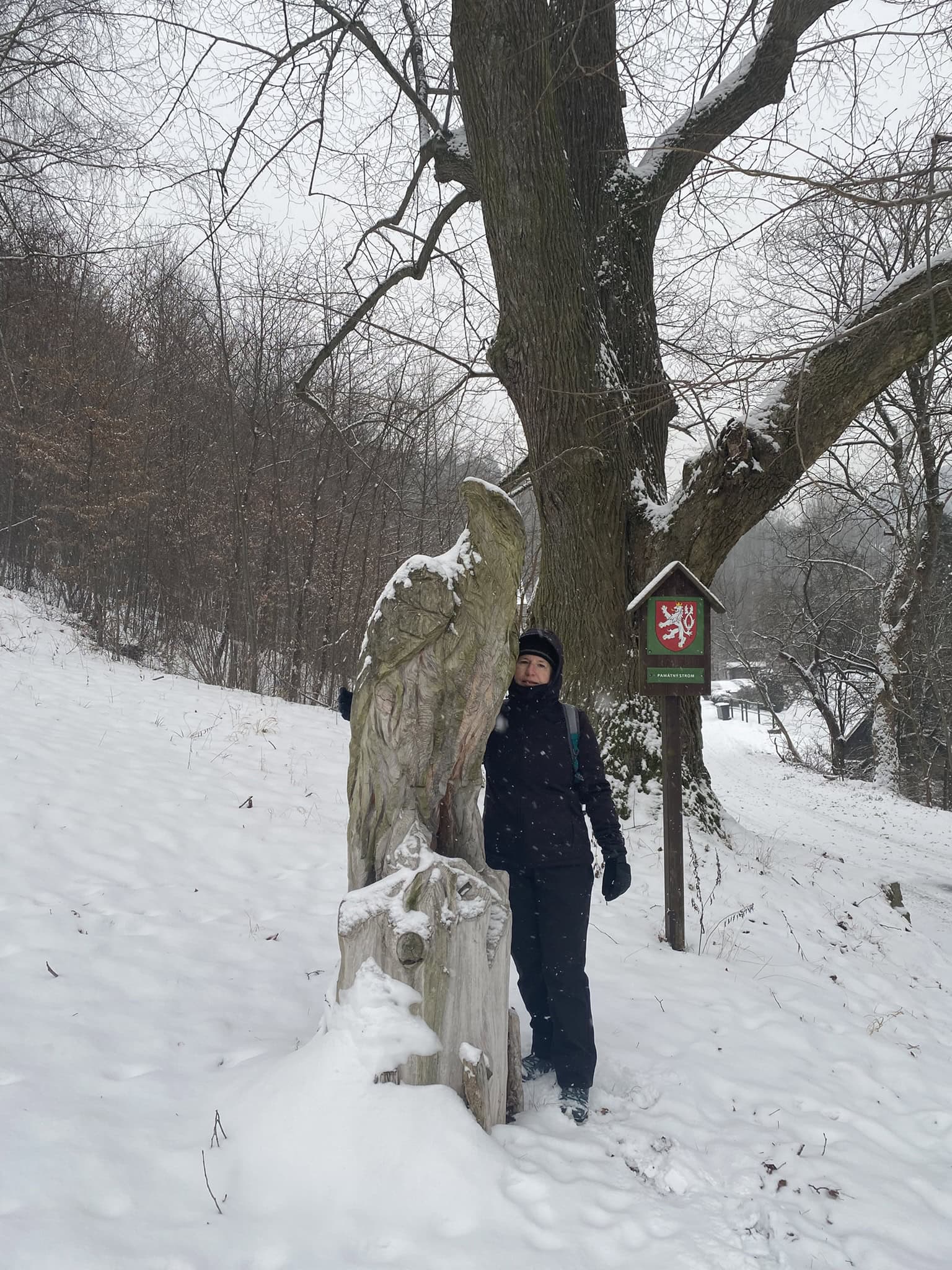 Dřevěná socha orla na začátku stoupání, ideální místo na první krátkou pauzu.