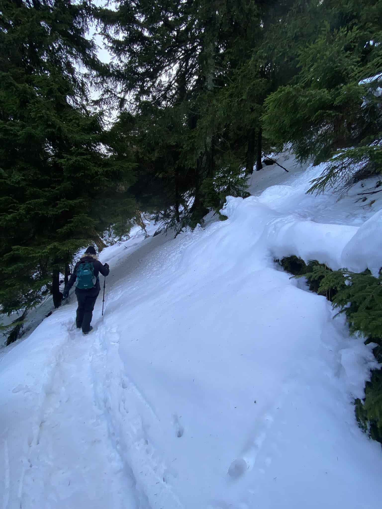 Cesta měkkým a hlubokým sněhem přes vrcholové partie dávala nohám zabrat, ale ticho lesa bylo dokonalé.