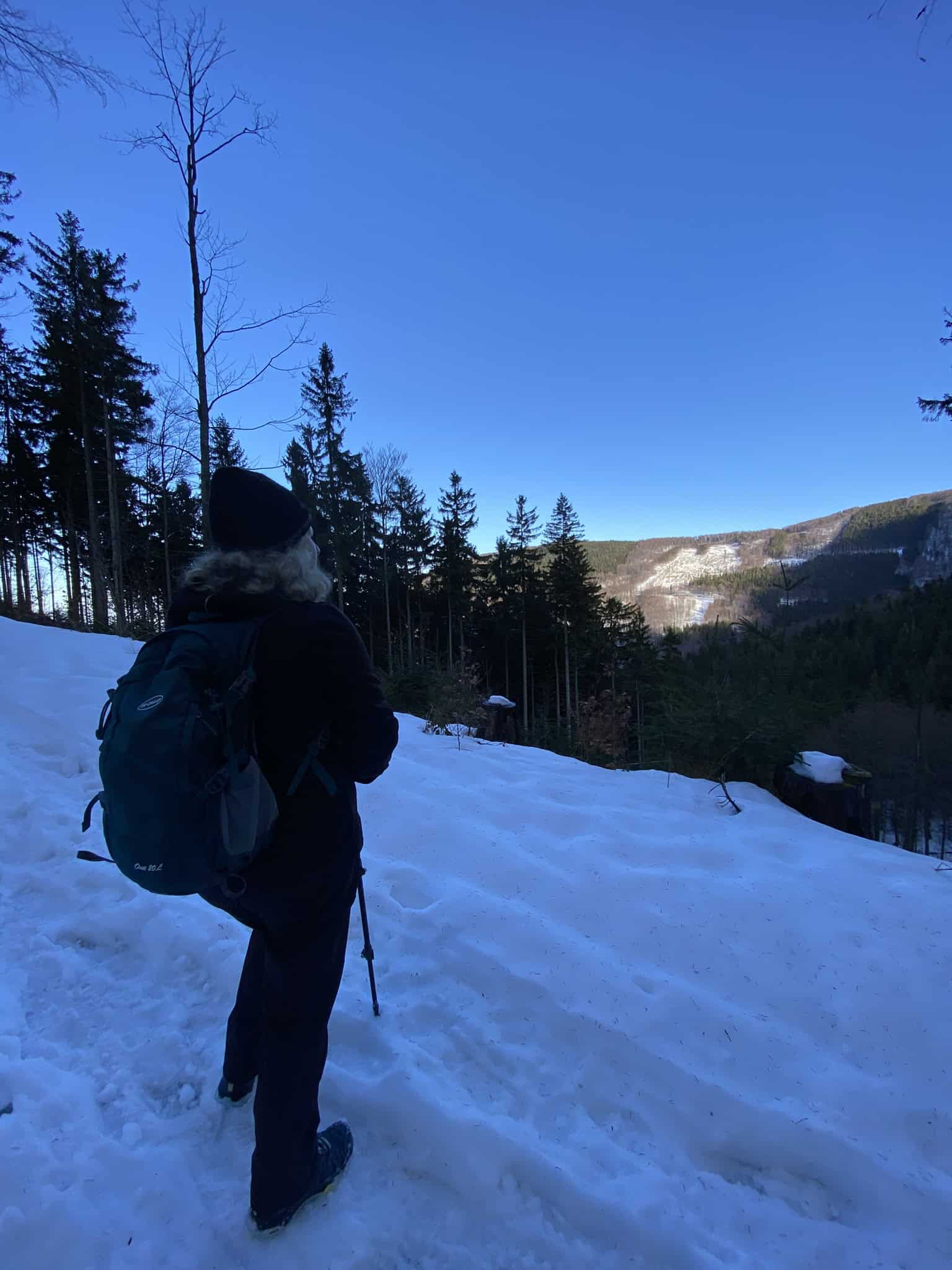 Jakmile se les trochu rozevřel, začaly se ukazovat první výhledy na protější hřebeny.