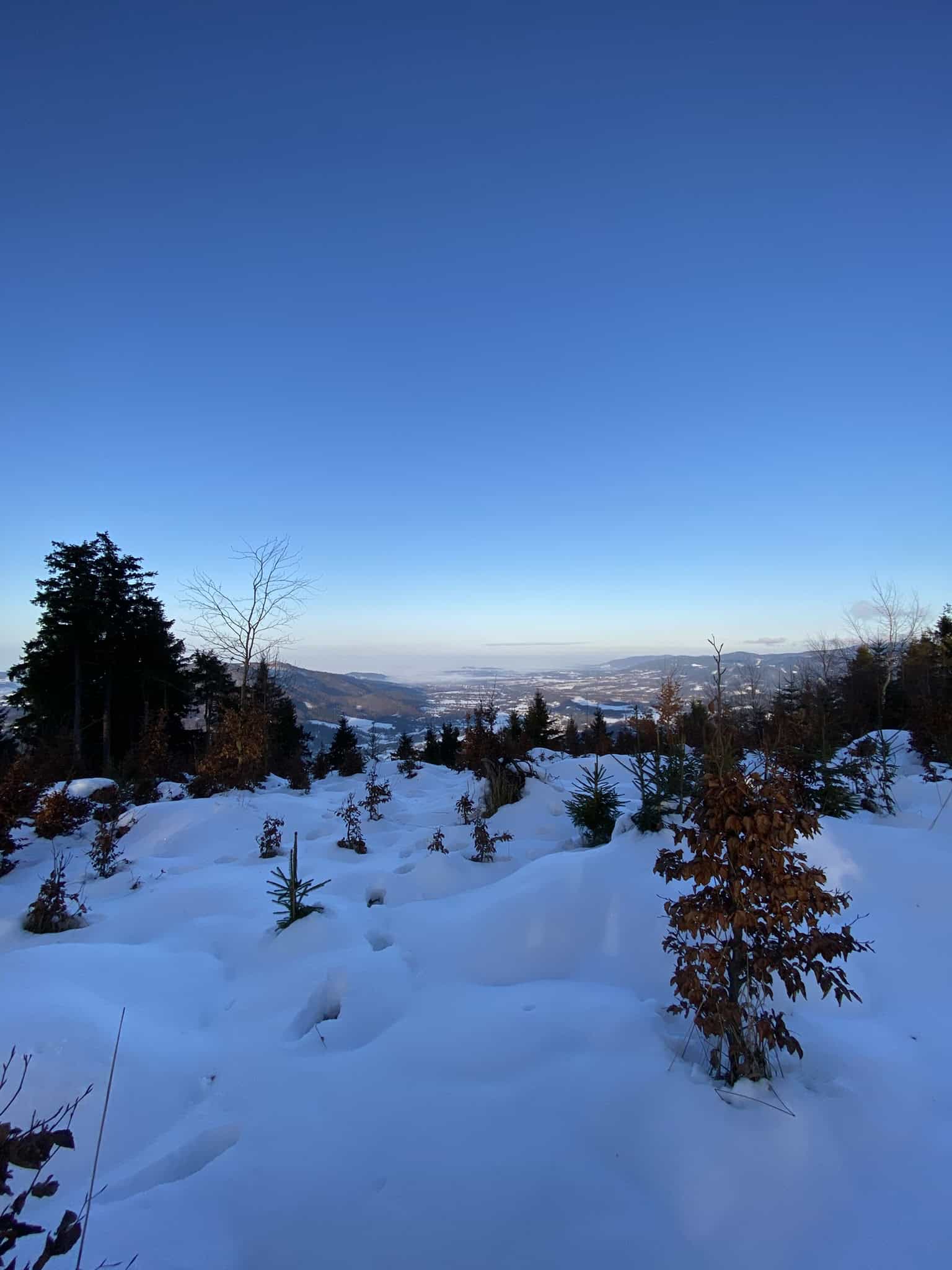 Zimní okruh přes Skalku a Velkou Stolovou: Hledání slunce nad inverzí
