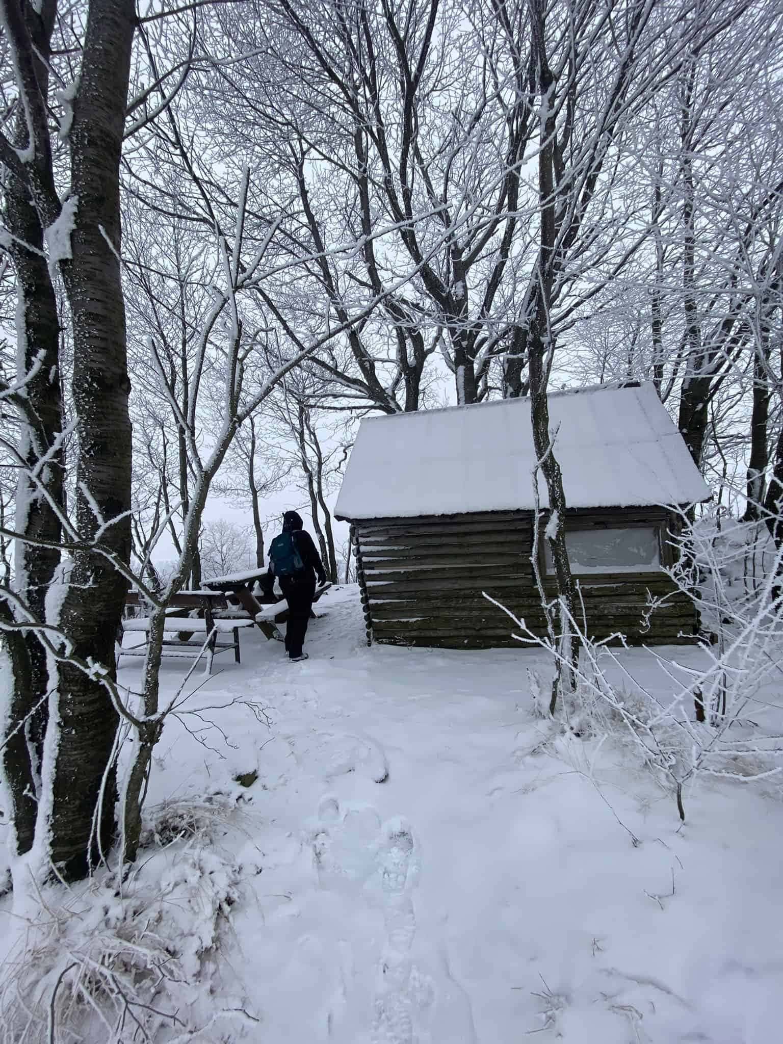 Nádherná malá útulna ztracená v zimním lese. Přesně to, co v tu chvíli potřebujete vidět.