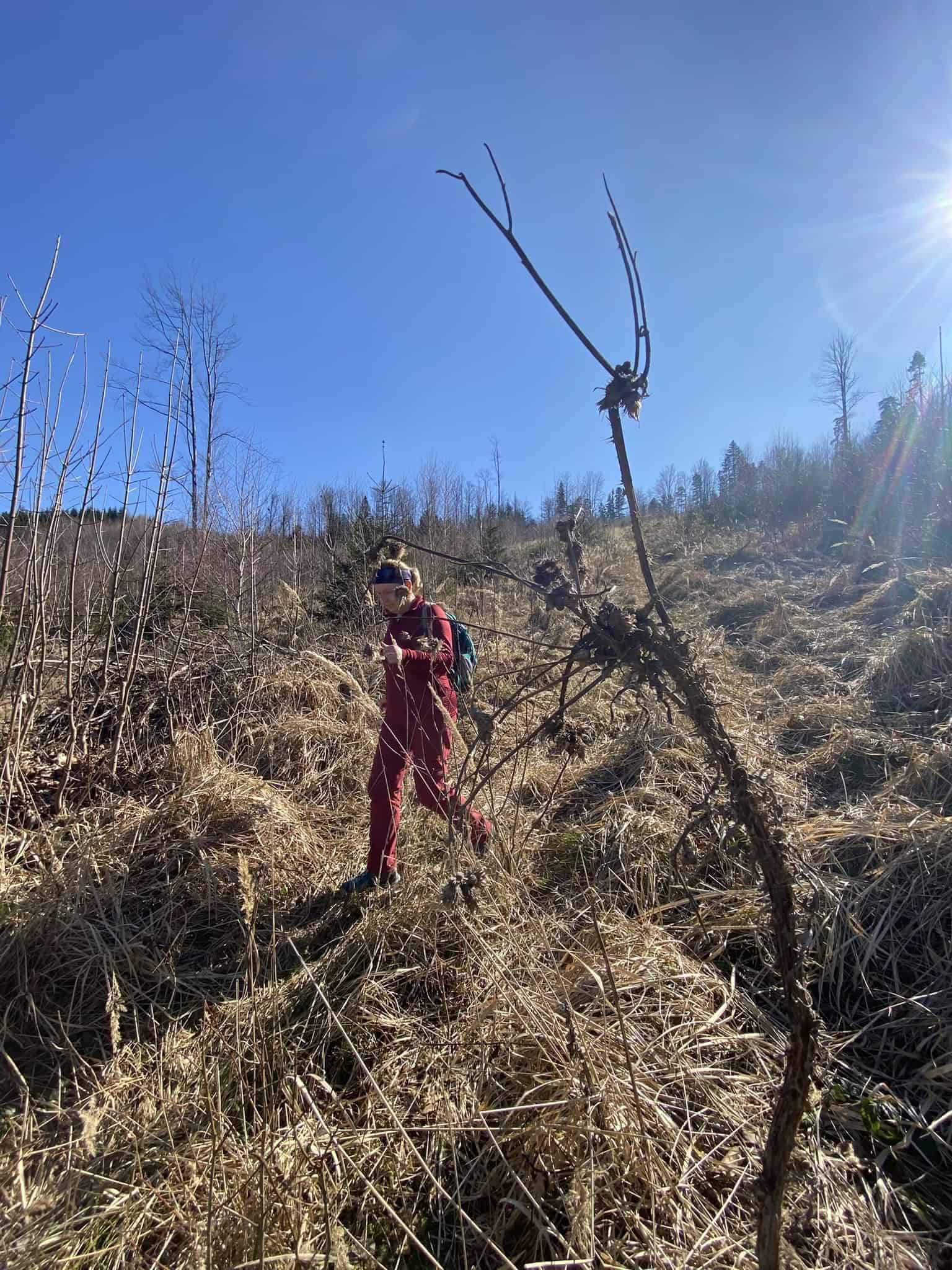 Jarní toulání nad Rožnovem: Přes hřeben Dlouhých honů pro valašský frgál