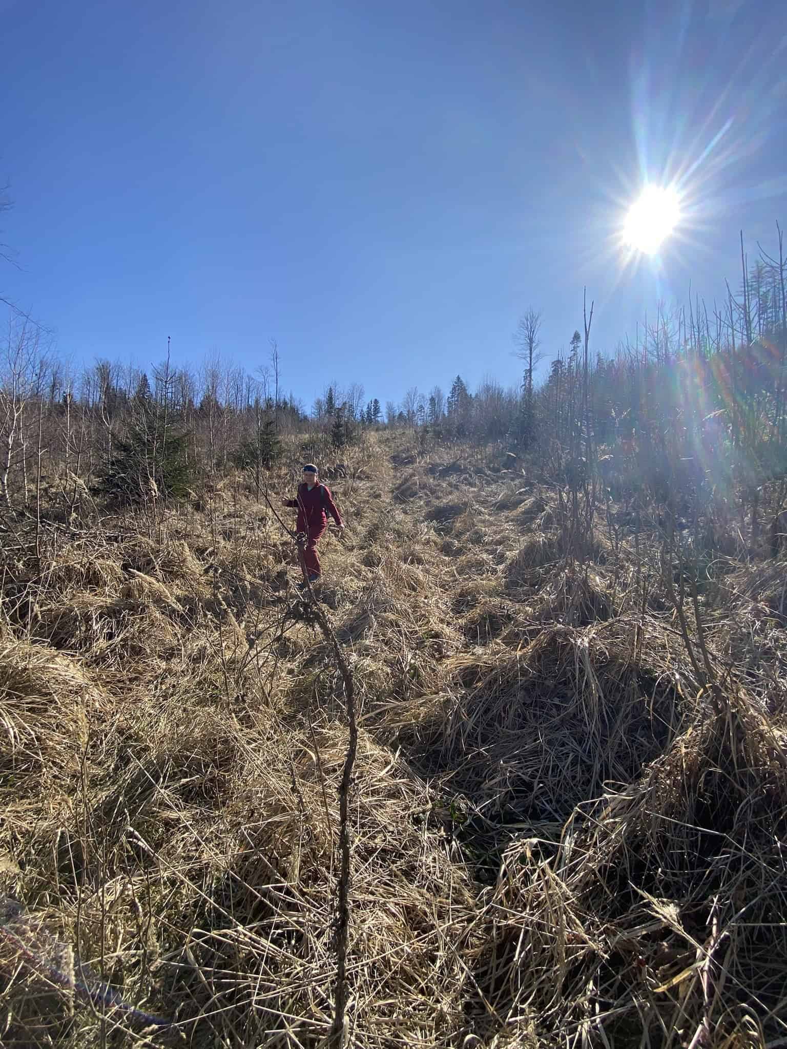 Kytice ze suché trávy