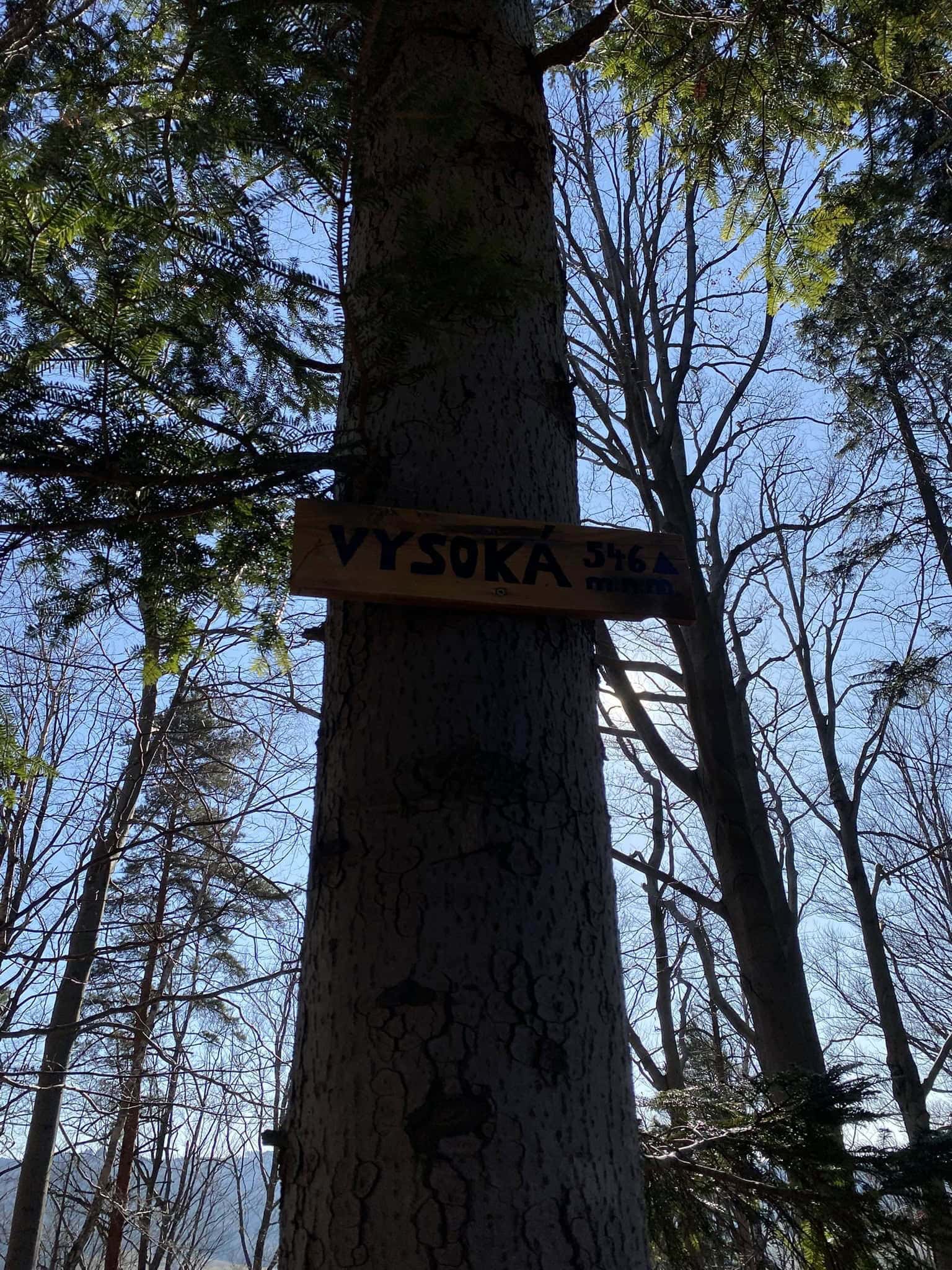 Vrchol Vysoká (546 m)