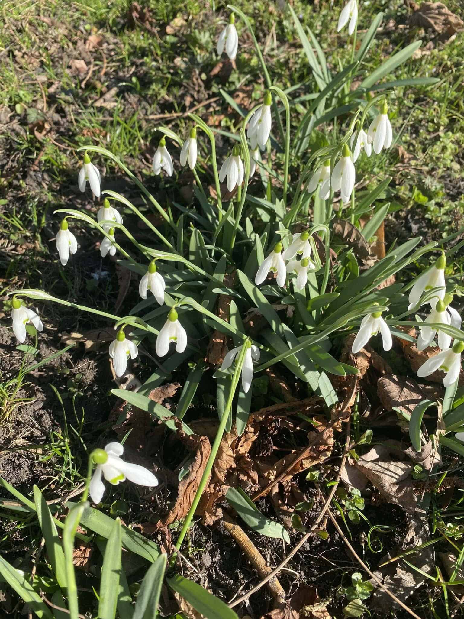 Jarní probuzení přírody v plném proudu.