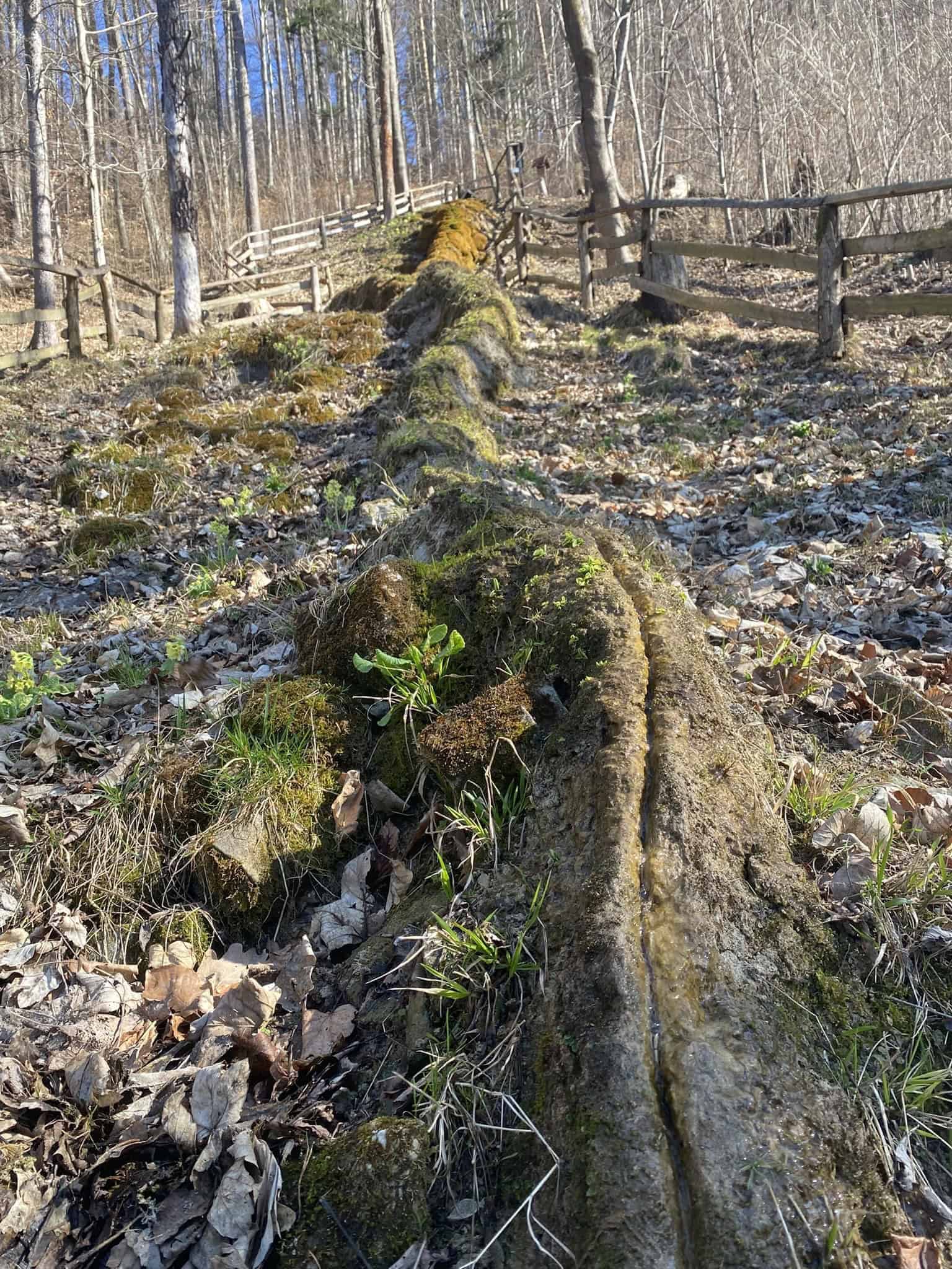 Beskydský unikát: Travertinová kaskáda a větrný pochod do Kopřivnice